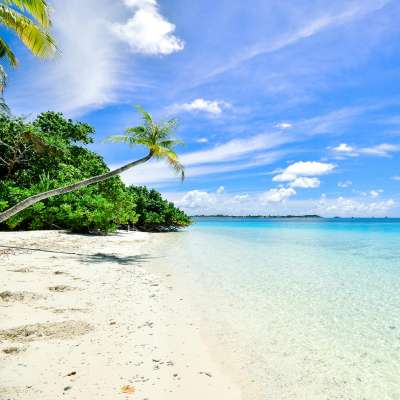 Beach Experience