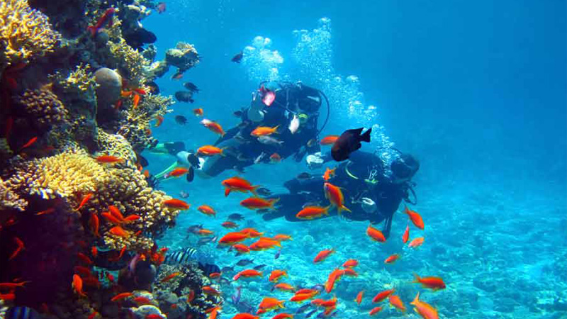 6 Days Andaman Tour Package