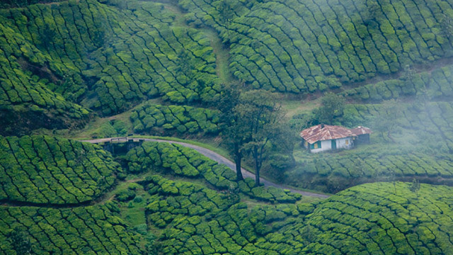 Enchanting Kerala