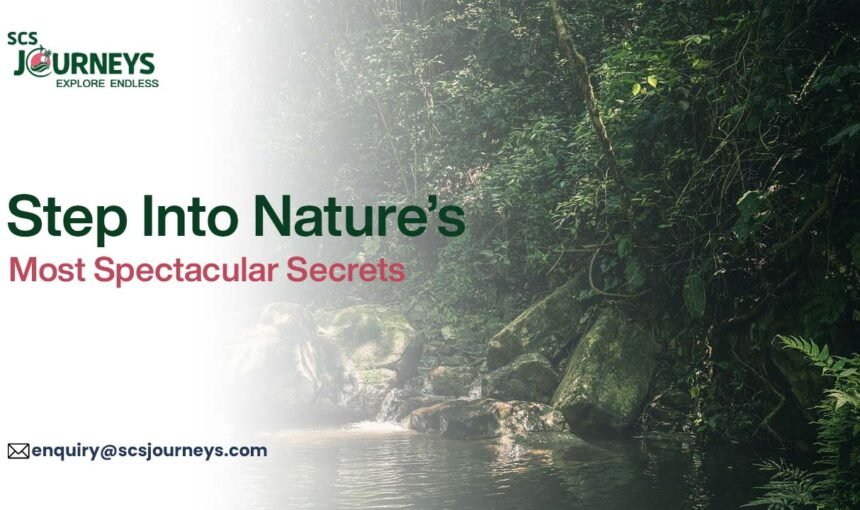 Unforgettable Wildlife & Nature Experiences for Your Next Adventure with SCS Journeys