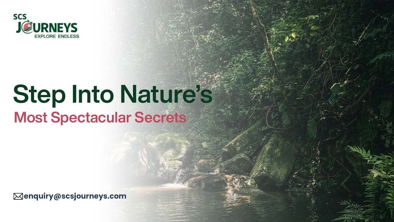 Unforgettable Wildlife & Nature Experiences for Your Next Adventure with SCS Journeys