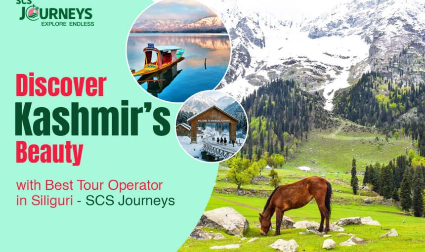 Kashmir Tour Packages: Discover Kashmir’s Beauty with SCS Journeys
