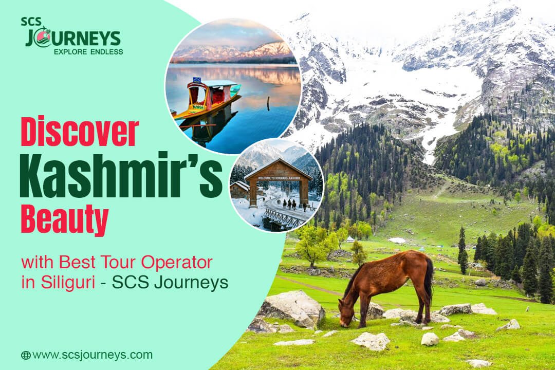 Kashmir Tour Packages: Discover Kashmir’s Beauty with SCS Journeys
