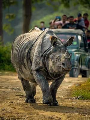Chitwan-National-Park Chitwan-National-Park