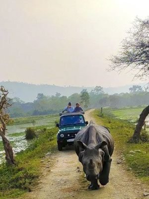 Kaziranga-National-Park