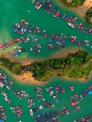 Majuli-Island