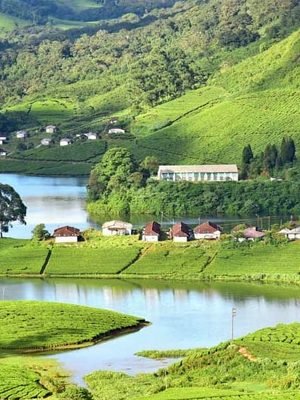 Munnar Munnar