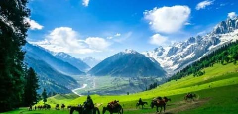 Permits & Rules kashmir