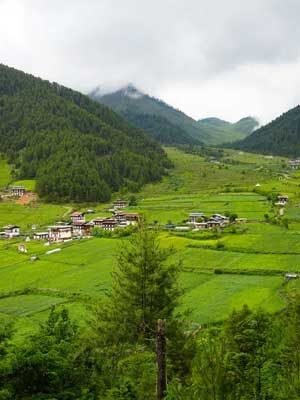 Phobjikha-Valley Phobjikha-Valley