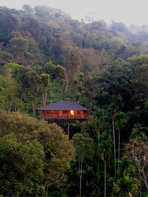 Wayanad Wayanad