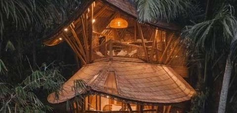 bali-Stay