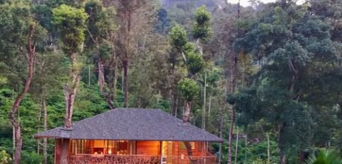 kerala-stay-1